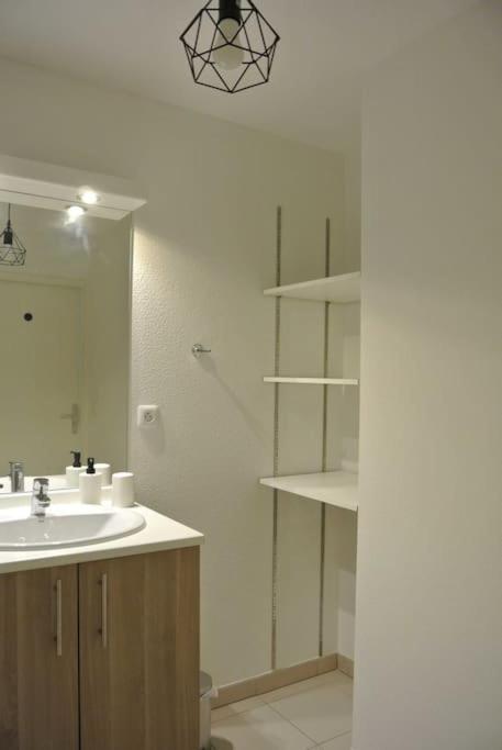 Spacieux T3 Balcon Parking Prive تولوز المظهر الخارجي الصورة